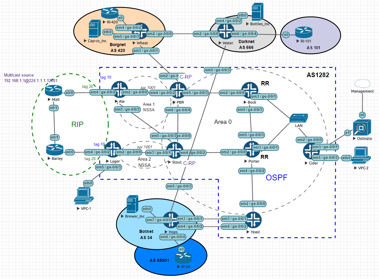 Junos Enterprise Routing topology